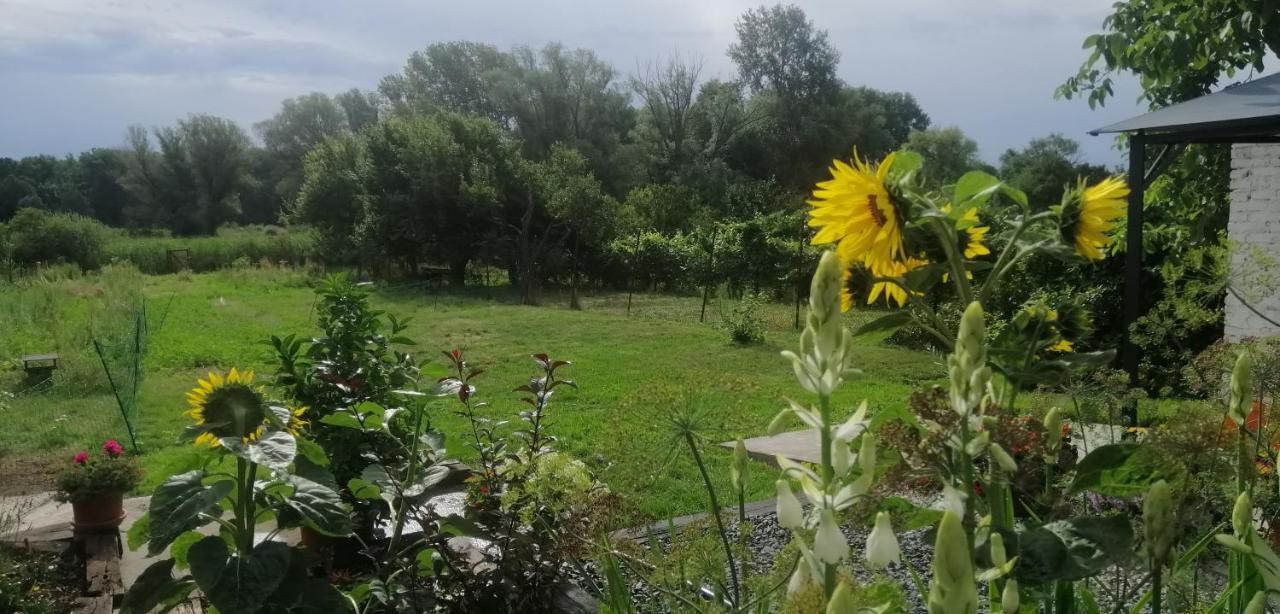 Apartmán Nakonci Vacenovice Exteriér fotografie