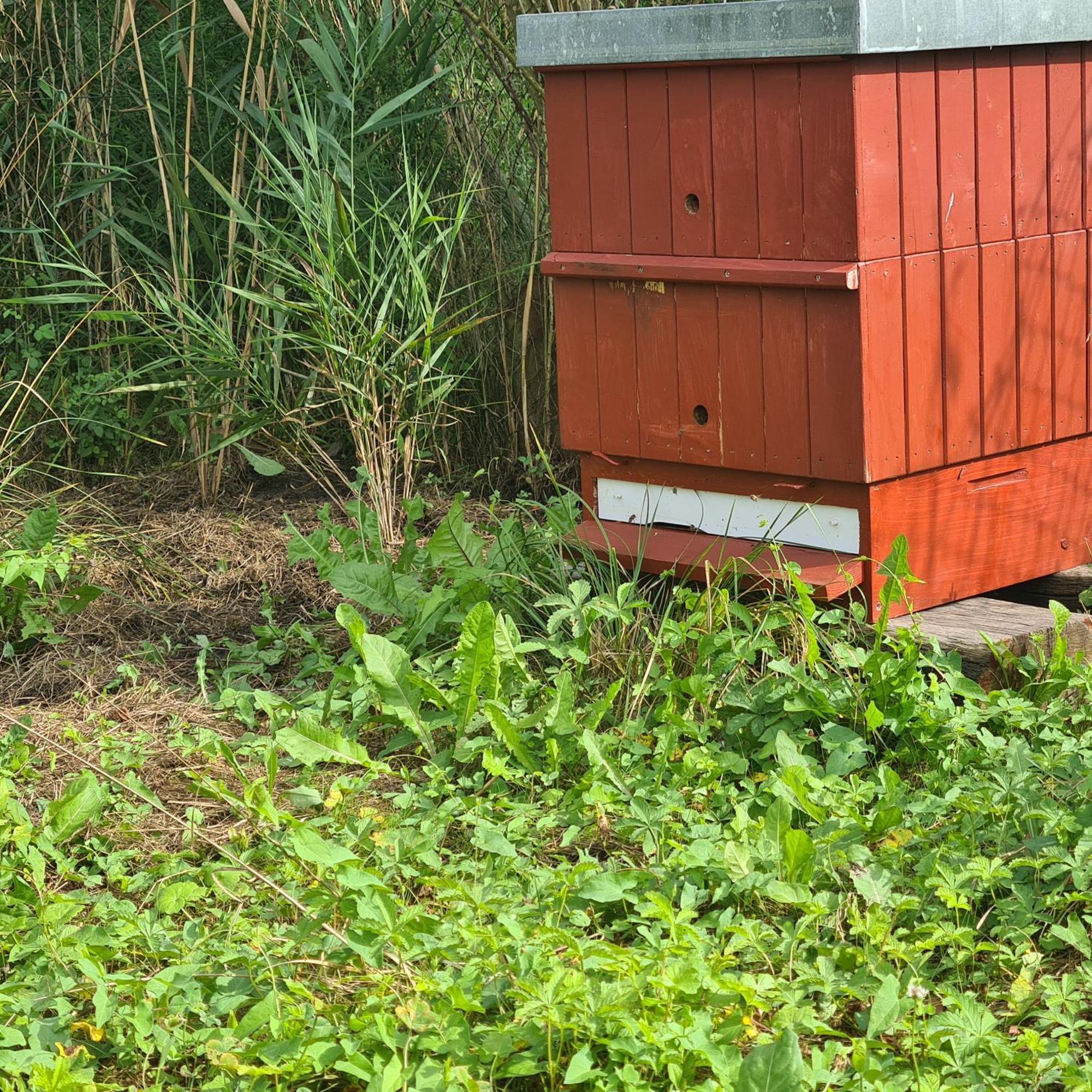 Apartmán Nakonci Vacenovice Exteriér fotografie